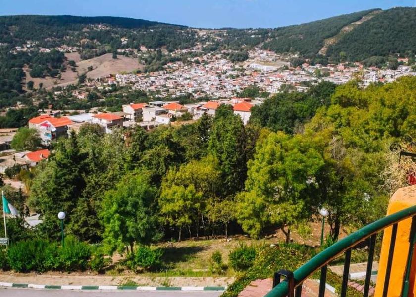 Jendouba Governate Ain Draham Surrounding environment