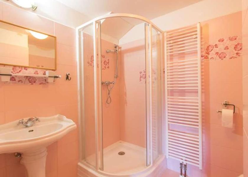 Plzen Region Zelezna Ruda Triple Room with Private Bathroom