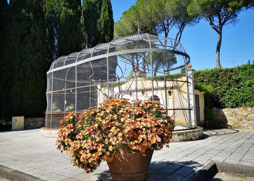 Tuscany Campagnatico 