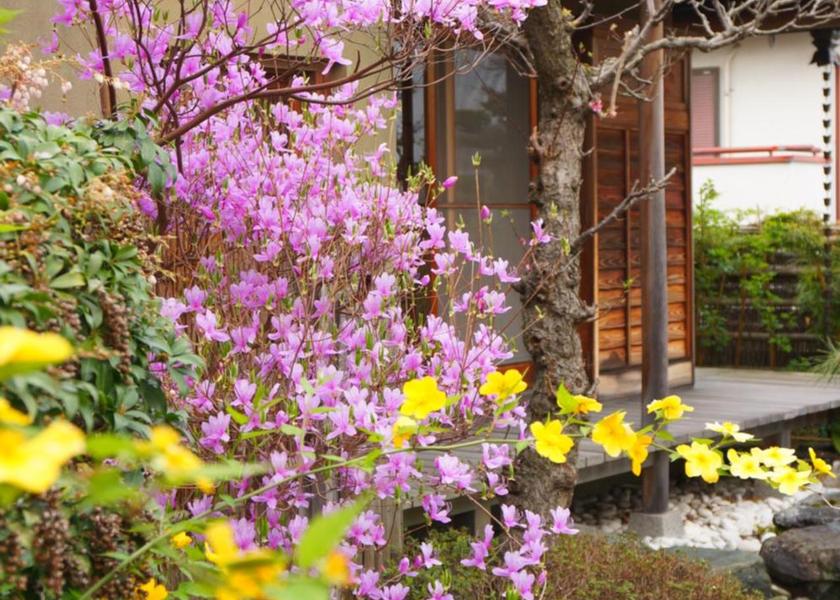 Nara Ikoma Garden