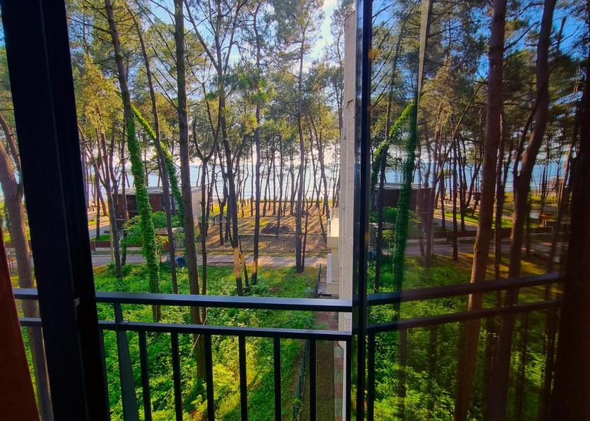 Guria Shekhvetili Surrounding environment