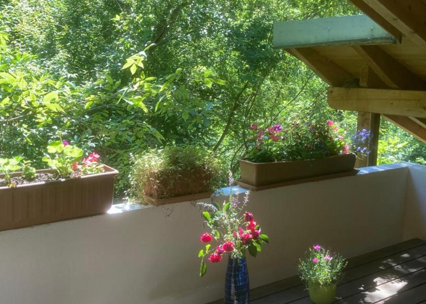 Bavaria Passau Balcony/terrace