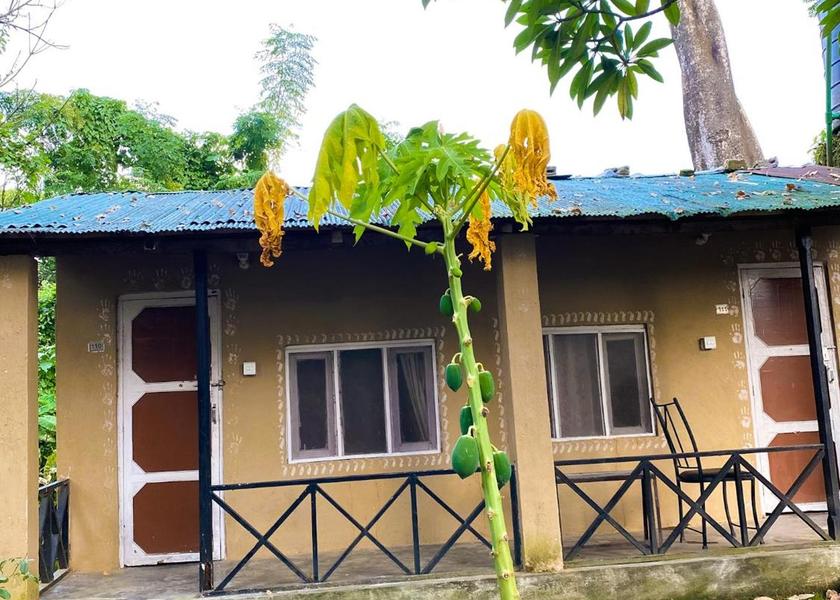 Bagmati Sauraha Exterior view