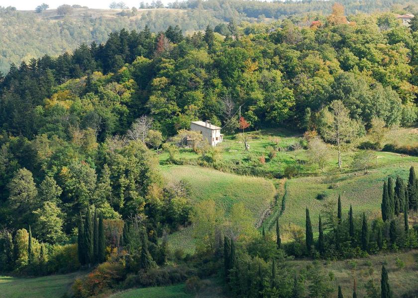 Tuscany Castiglione d'Orcia Surrounding environment