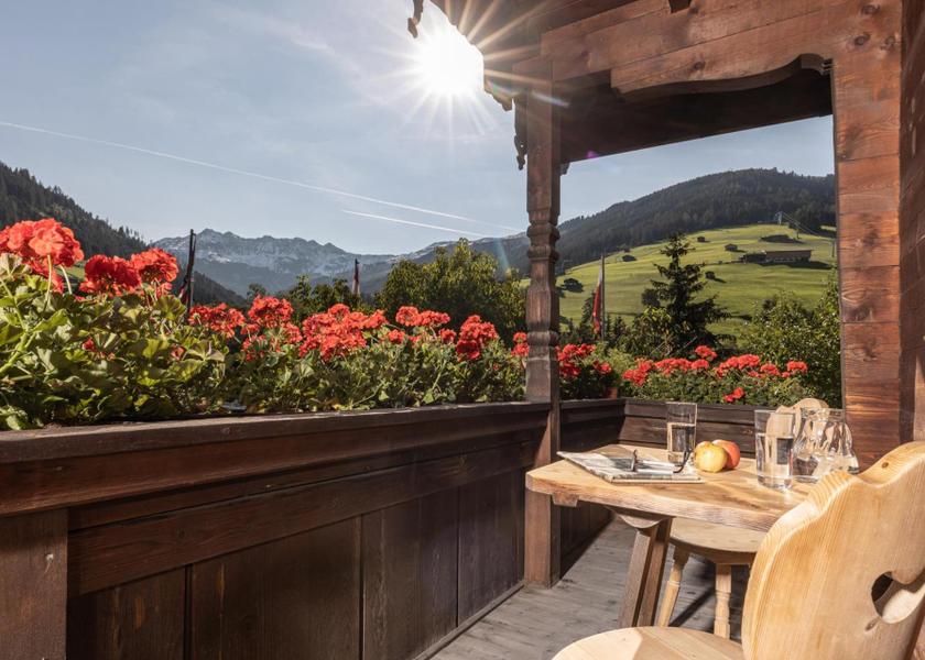 Tyrol Alpbach View