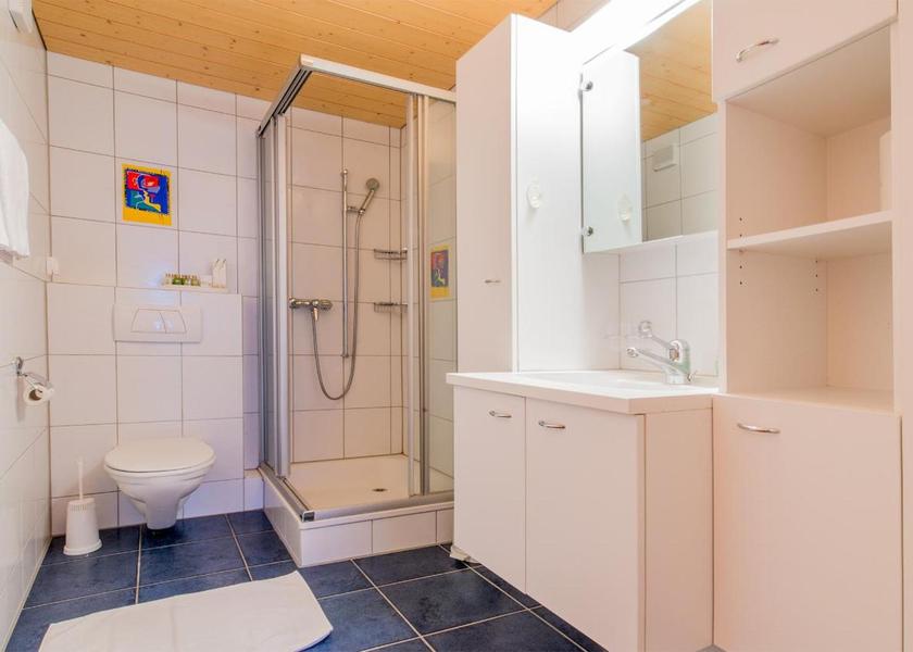 Canton of Bern Lauterbrunnen Penthouse Apartment