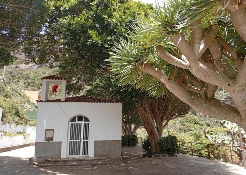 Canary Islands Santa Cruz de Tenerife 