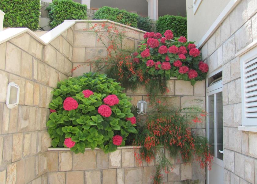 Dubrovnik-Neretva Konavle Garden