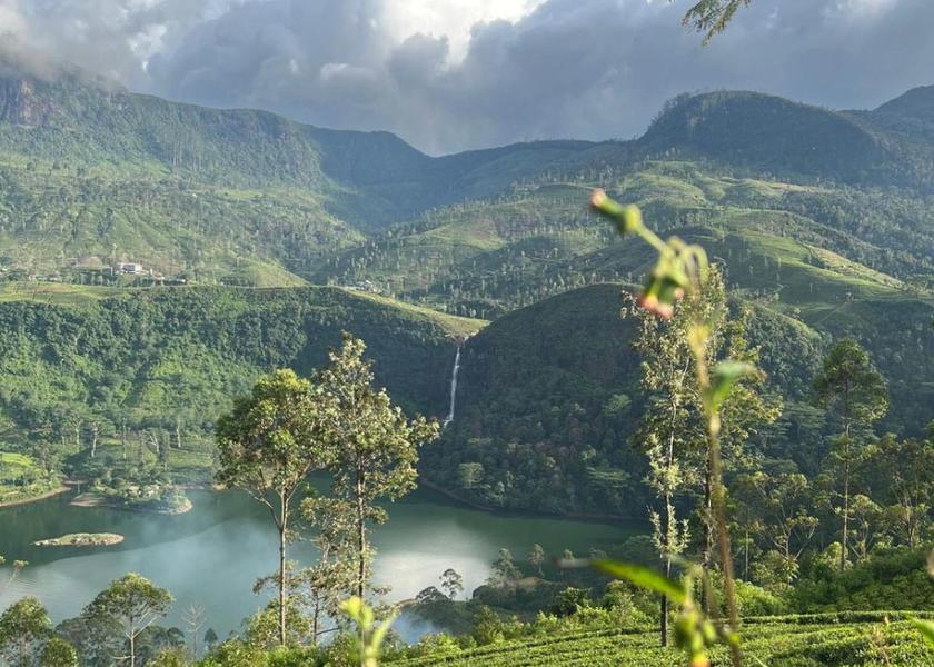 Central Province Nallathanniya Surrounding environment