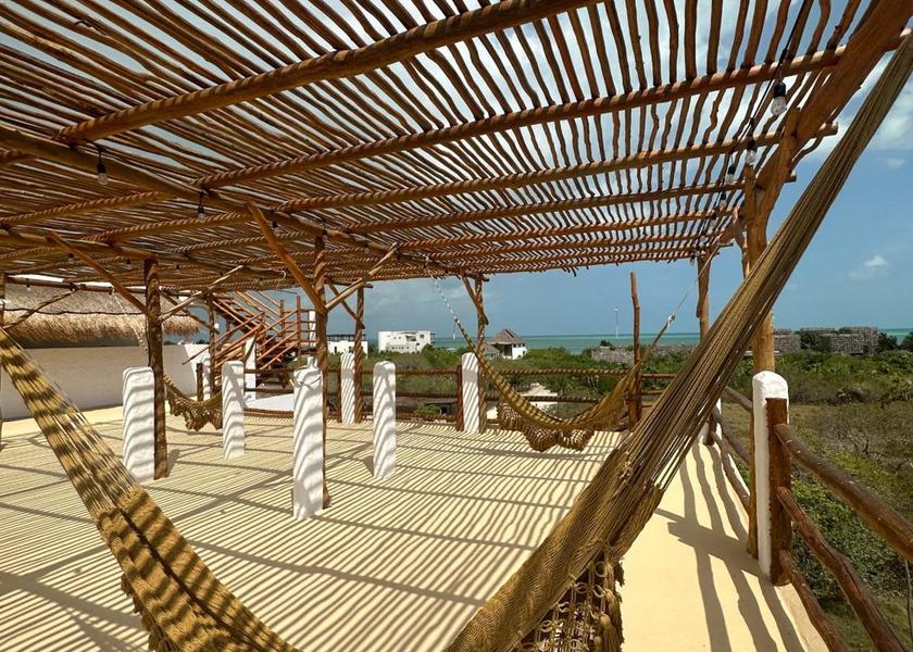 Quintana Roo Isla Holbox Surrounding environment