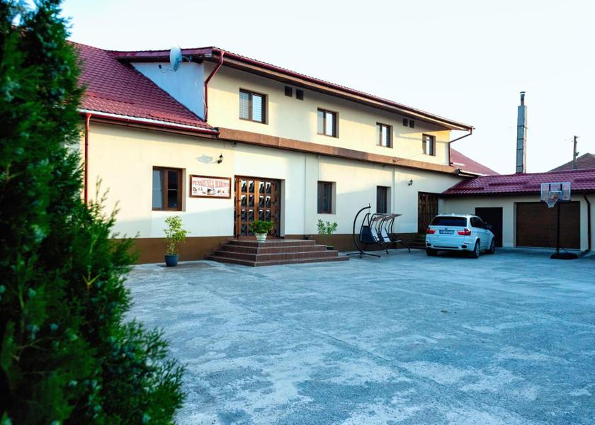Hunedoara County Pui 
