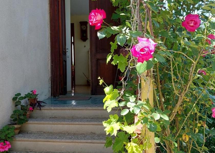 Kakheti Sighnaghi 