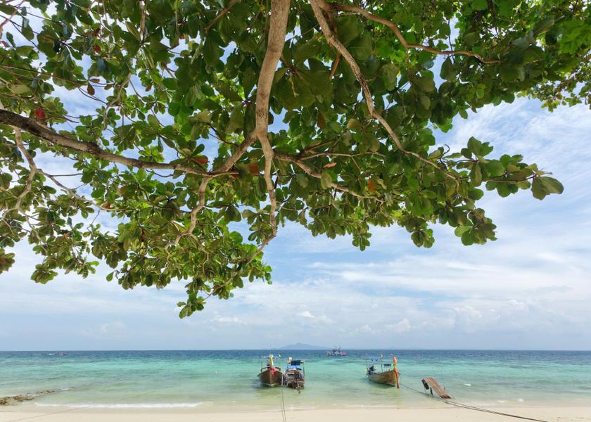 Krabi Province Ko Phi Phi 