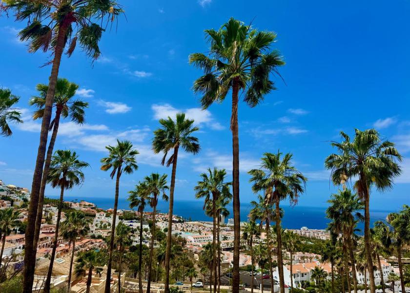 Canary Islands Adeje Surrounding environment