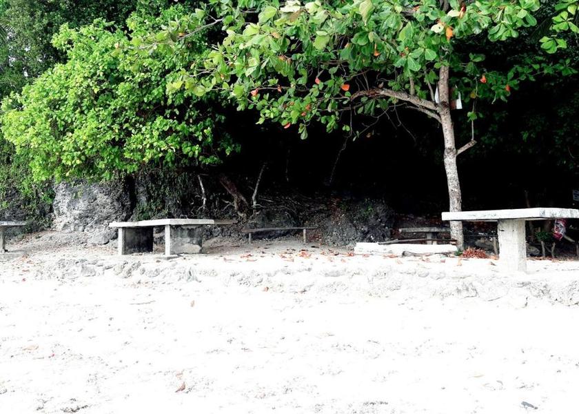 Central Visayas Maria Surrounding environment