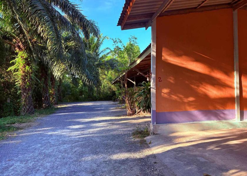 Krabi Province Khlong Thom 