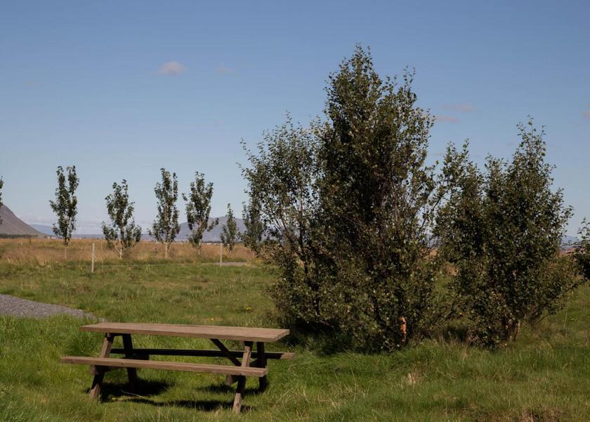Southern Region Selfoss Garden