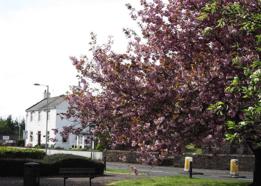 Scotland Gretna 