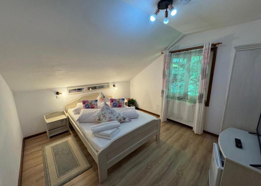 Prahova County Sinaia Small Double Room