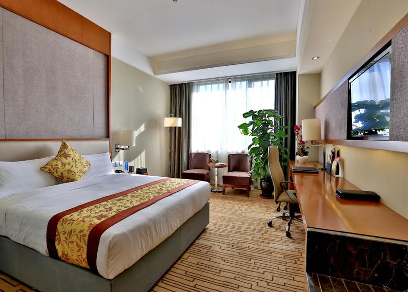 Liaoning Shenyang Business King Bed