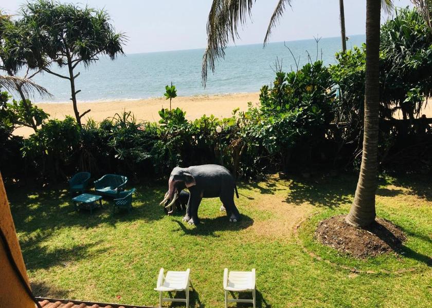 Western Province Negombo 