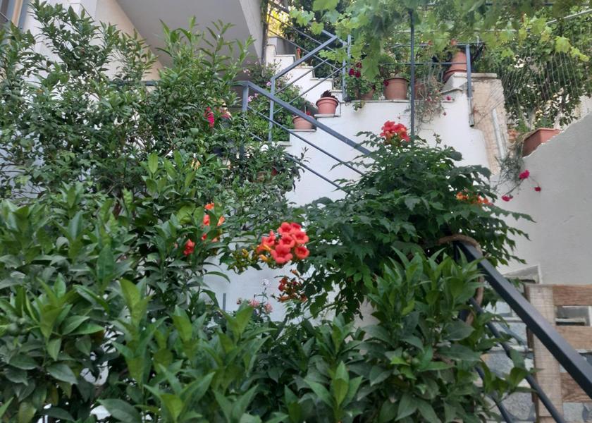 Vlorë County Sarandë Exterior view