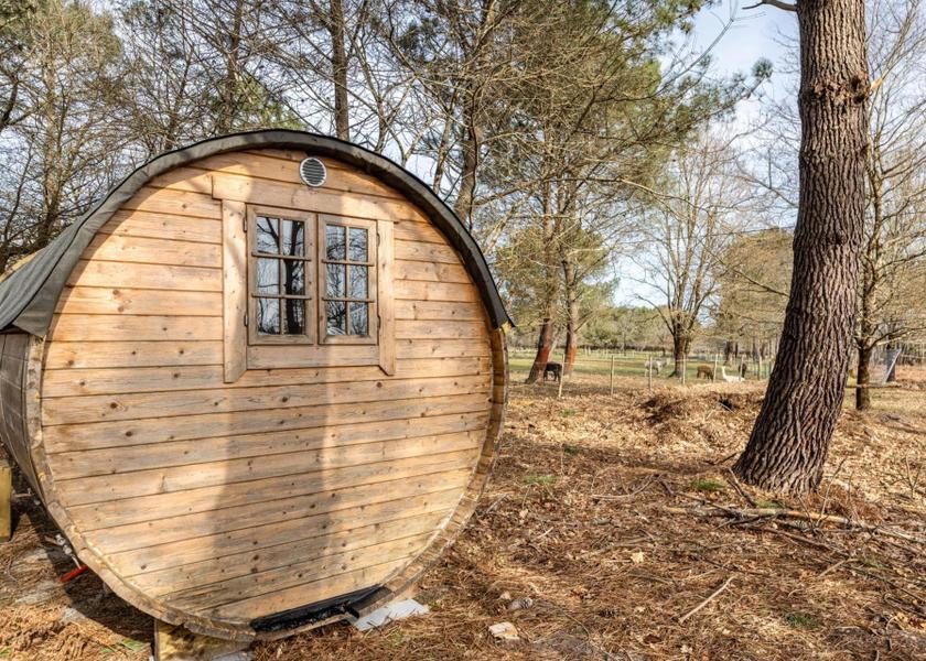 Nouvelle-Aquitaine Hourtin Exterior view