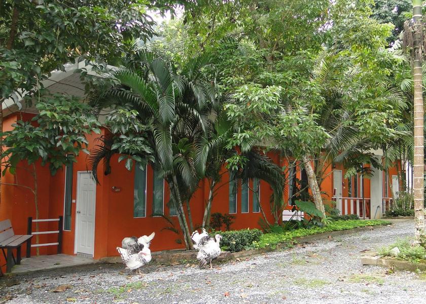Nakhon Si Thammarat Province Thung Song Exterior view