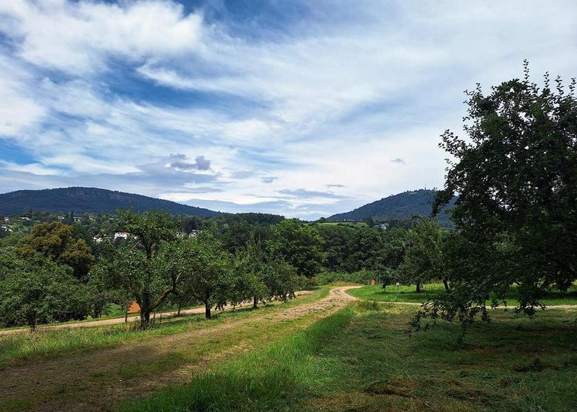 Baden-Württemberg Baden-Baden Nearby attraction