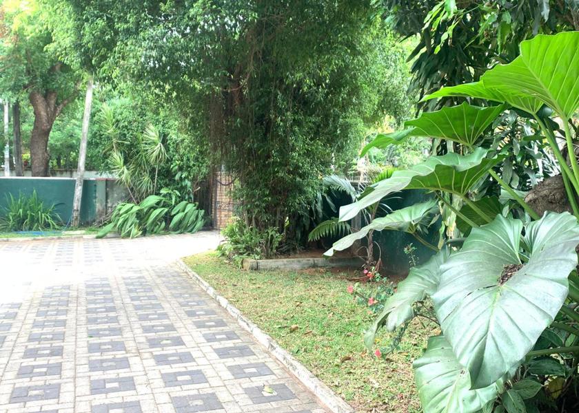 North Central Province Anuradhapura Surrounding environment