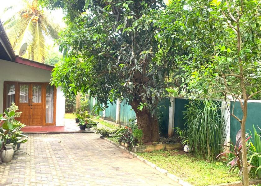 North Central Province Anuradhapura Garden
