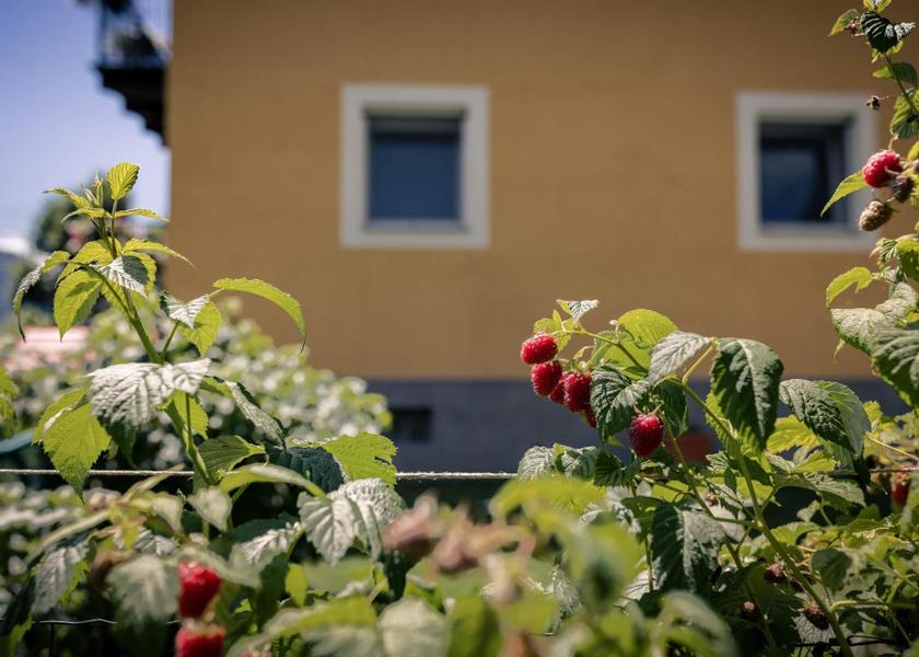 Valle d'Aosta Challand-Saint-Anselme Garden