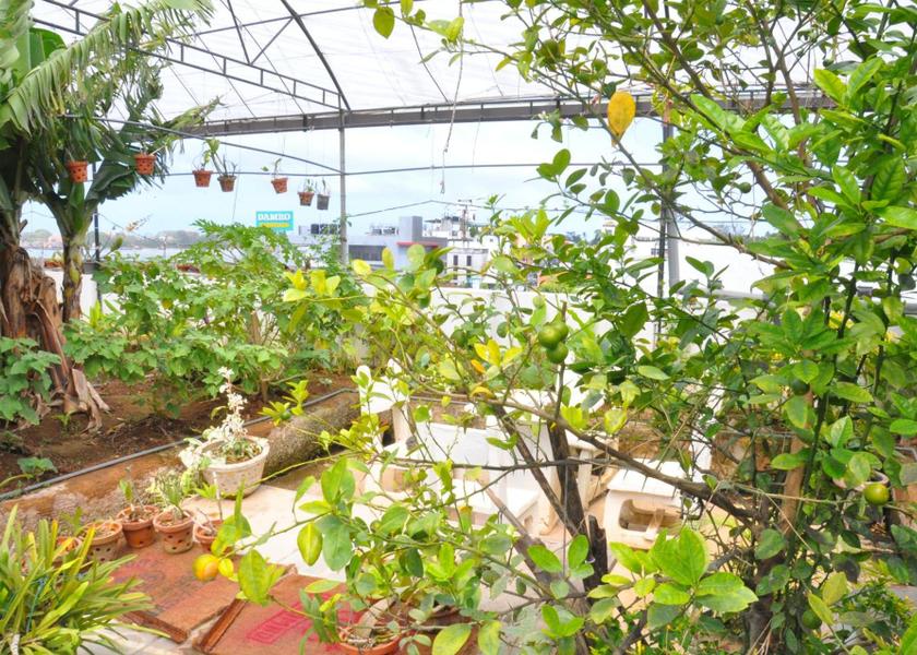 Southern Province Galle Garden
