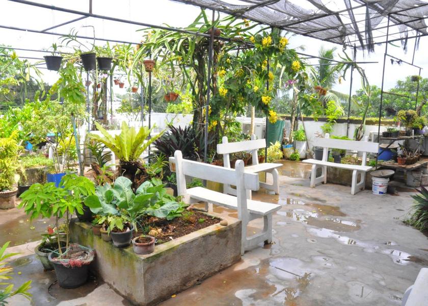 Southern Province Galle Garden