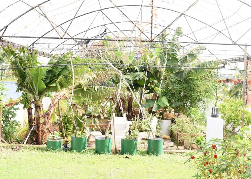 Southern Province Galle Garden