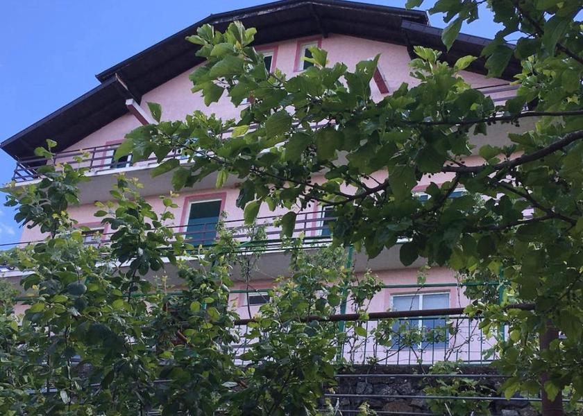 Shkodër County Puke 