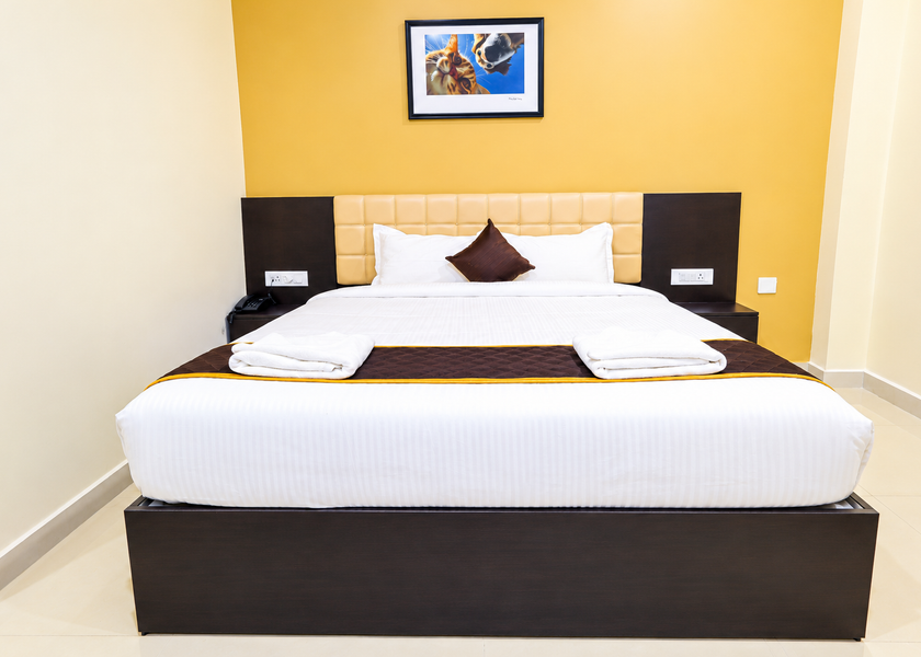 Andhra Pradesh Tirupati Executive Room