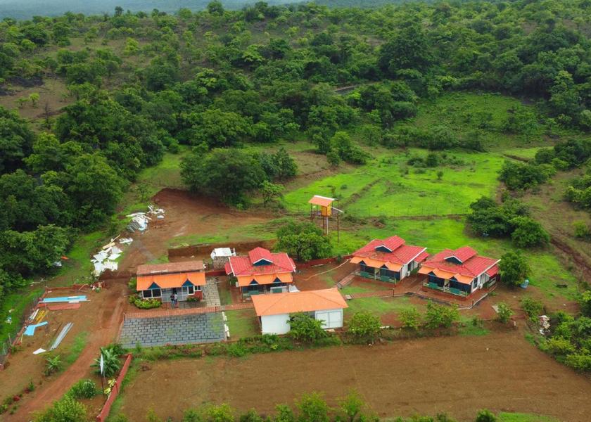 Maharashtra Amboli 