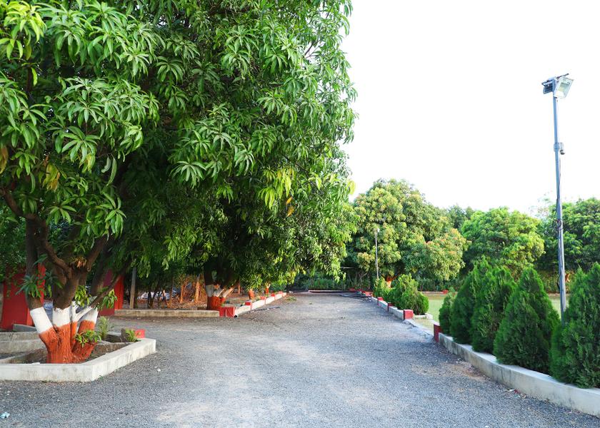 Gujarat Junagadh Hotel View