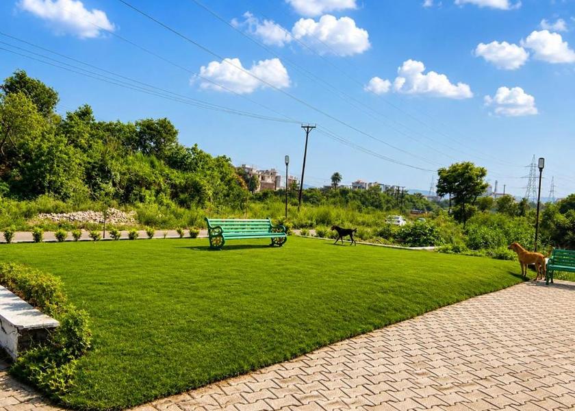 Himachal Pradesh Baddi 
