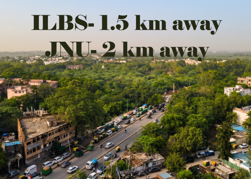 Delhi Delhi 
