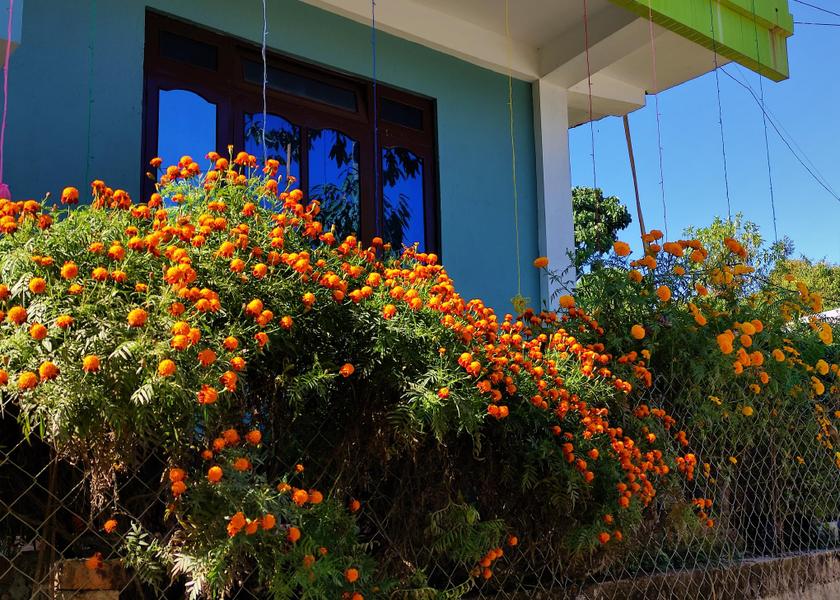 West Bengal Mirik 