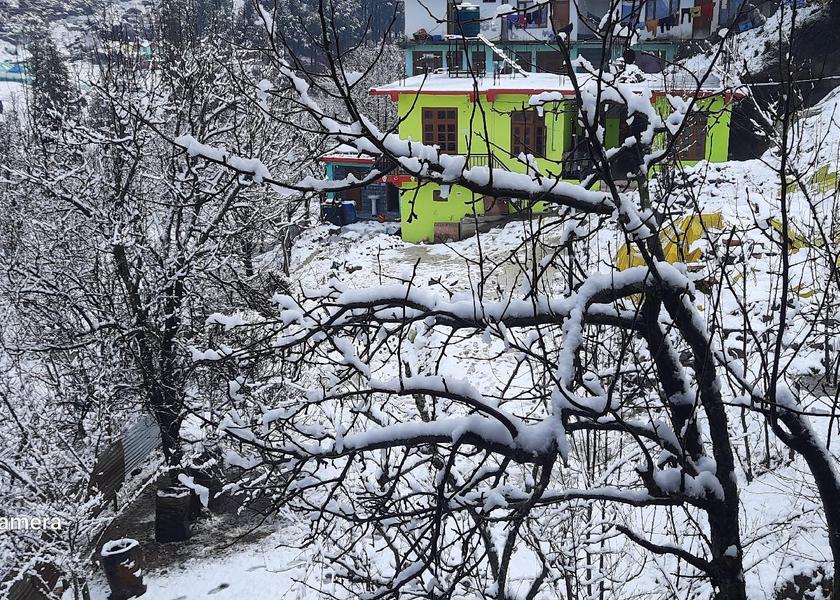 Himachal Pradesh Kullu 