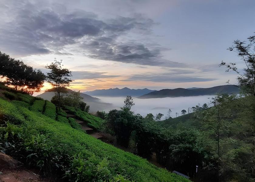 Kerala Vagamon 