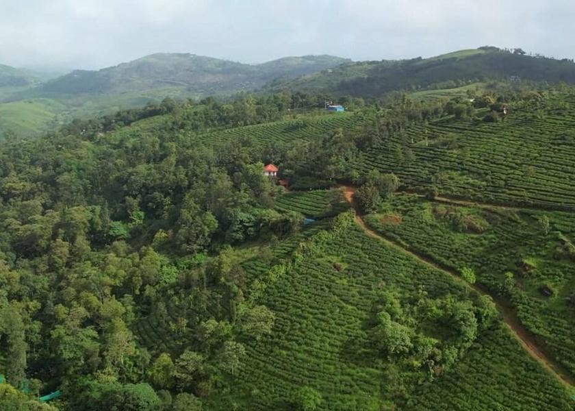 Kerala Vagamon 