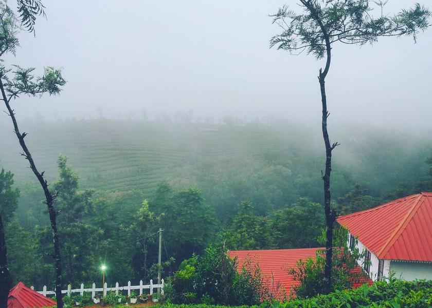 Kerala Vagamon 
