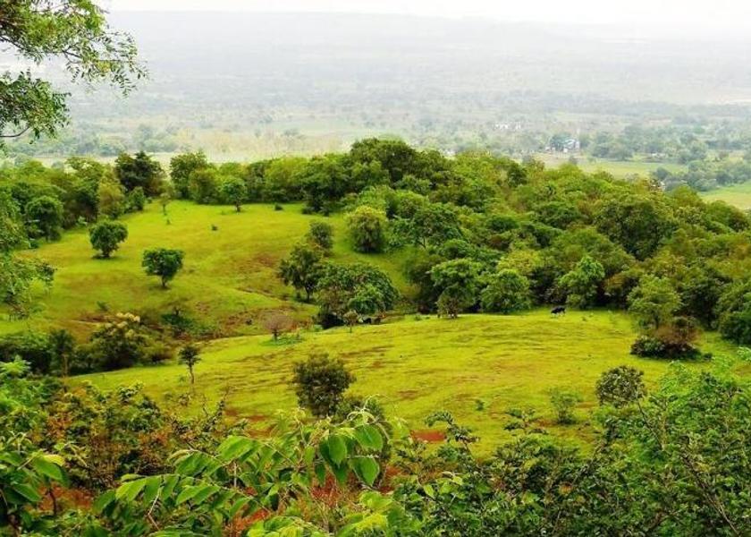 Telangana Vikarabad 