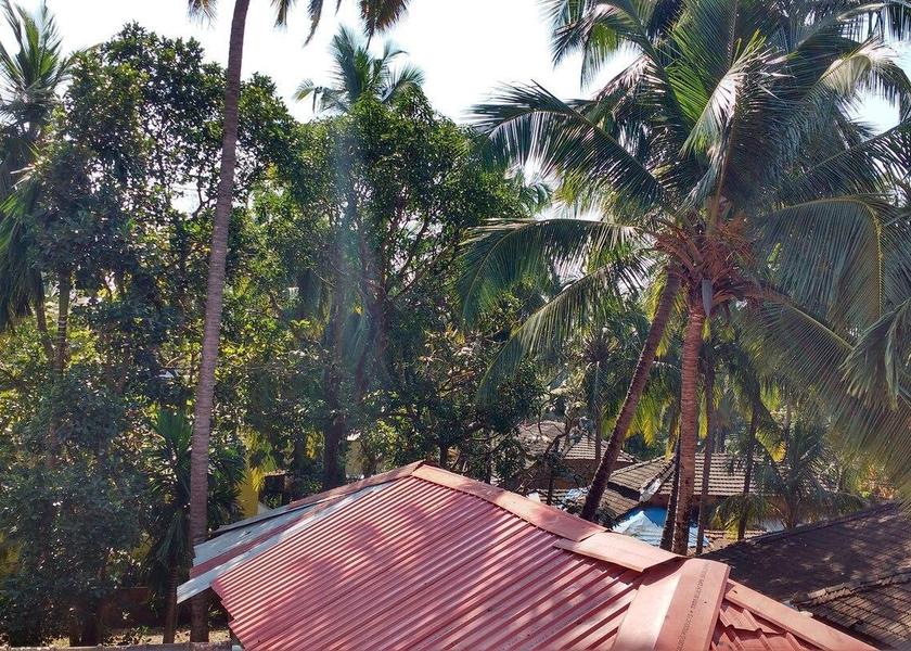 Goa Canacona Balcony/terrace