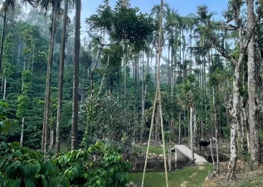 Karnataka Sakleshpur 