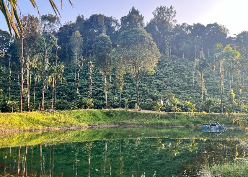 Karnataka Sakleshpur 